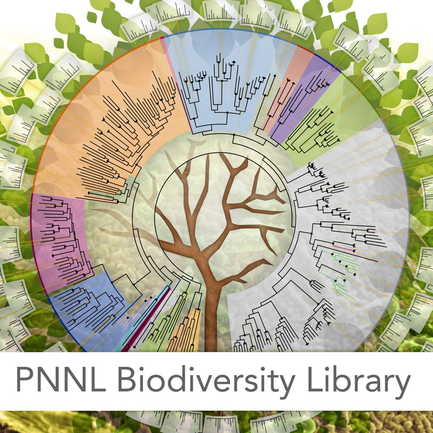 BiodiversityPlugin